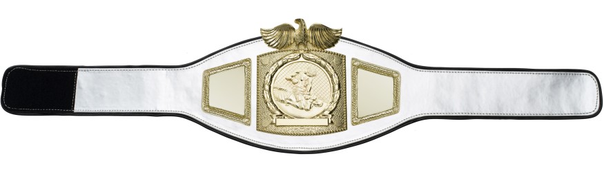 PROEAGLE MMA CHAMPIONSHIP BELT - PROEAGLE/G/MMAG - AVAILABLE IN 6+ COLOURS PROEAGLE MMA CHAMPIONSHIP BELT - PROEAGLE/G/MMAG - AVAILABLE IN 6+ COLOURS